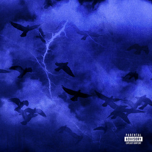 看亚洲老女人逼的视屏
